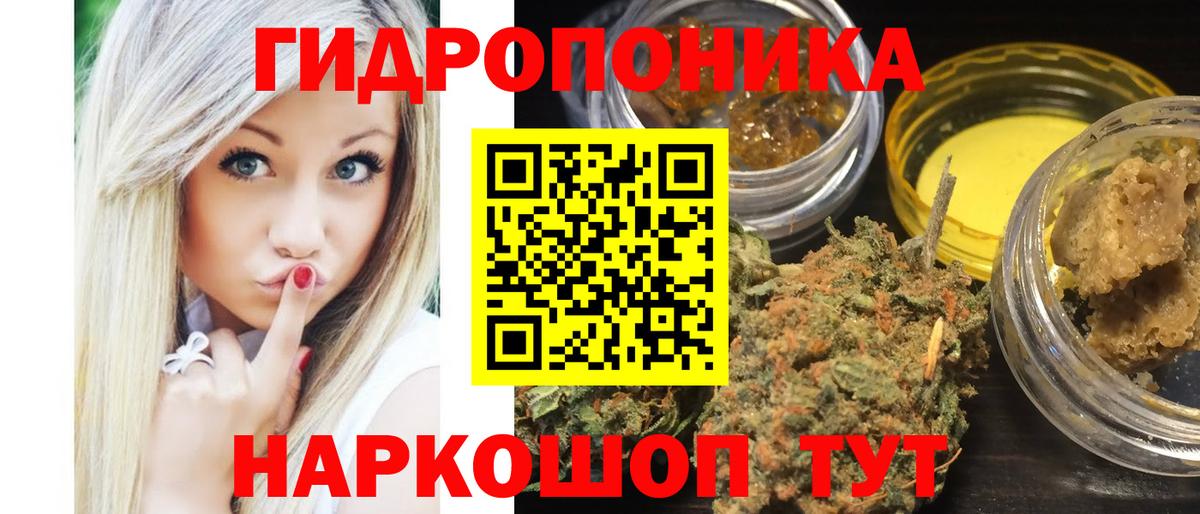 Конопля ГИДРОПОН  Марихуана Bruce Banner  МАРИХУАНА сатива  Кулебаки  Вход с VPN  Марихуана марихуана 